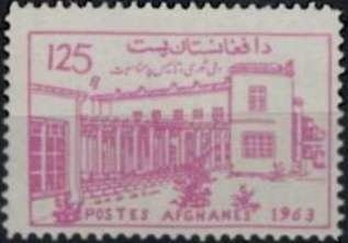 Fischer's Lovebird (Agapornis fischeri)