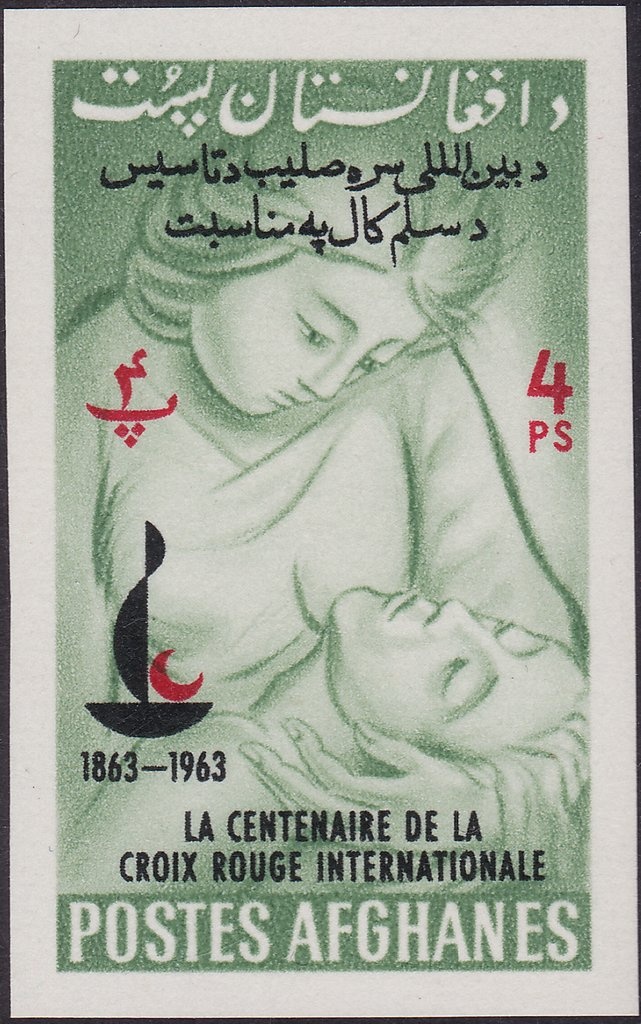 Tetsu Nakamura, Humanitarian