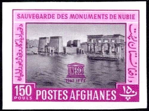 Rottweiler (Canis lupus familiaris)