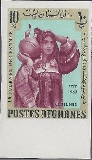 Vicugna (Vicugna vicugna)