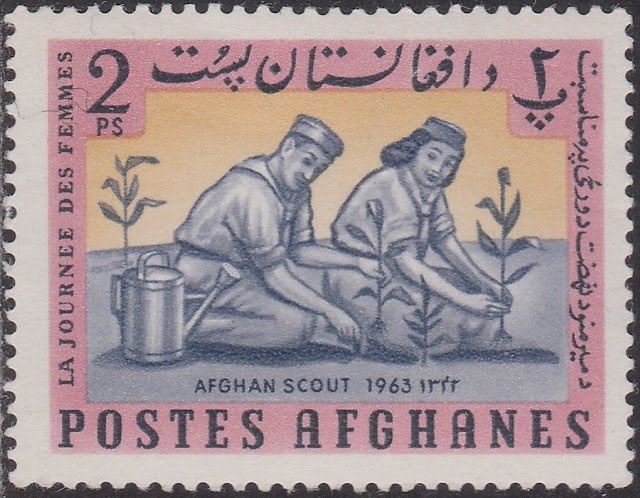 Flax (Linum usitatissimum)