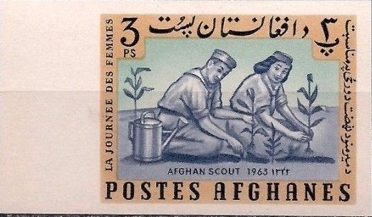 Grapes (Vitis vinifera)