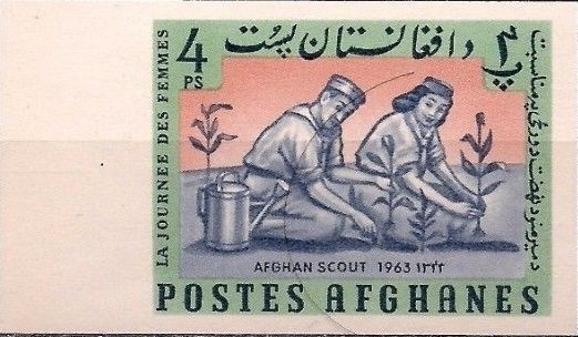 Mohamad Ibrahim Kederi, Gold Medallist