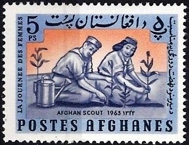 Great Hornbill (Buceros bicornis)