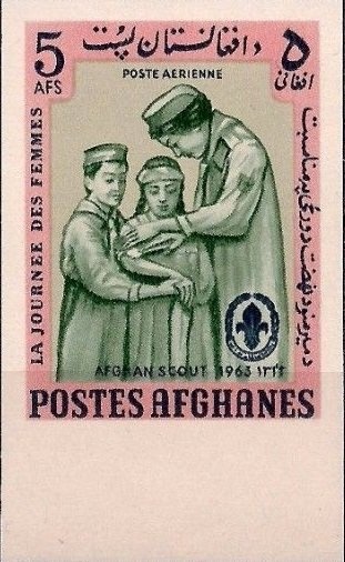 Dotted stem bolete (Boletus luridiformis)