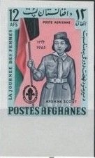 Grapes (Vitis vinifera), overprinted