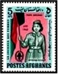 Afghan Hound (Canis familiaris)