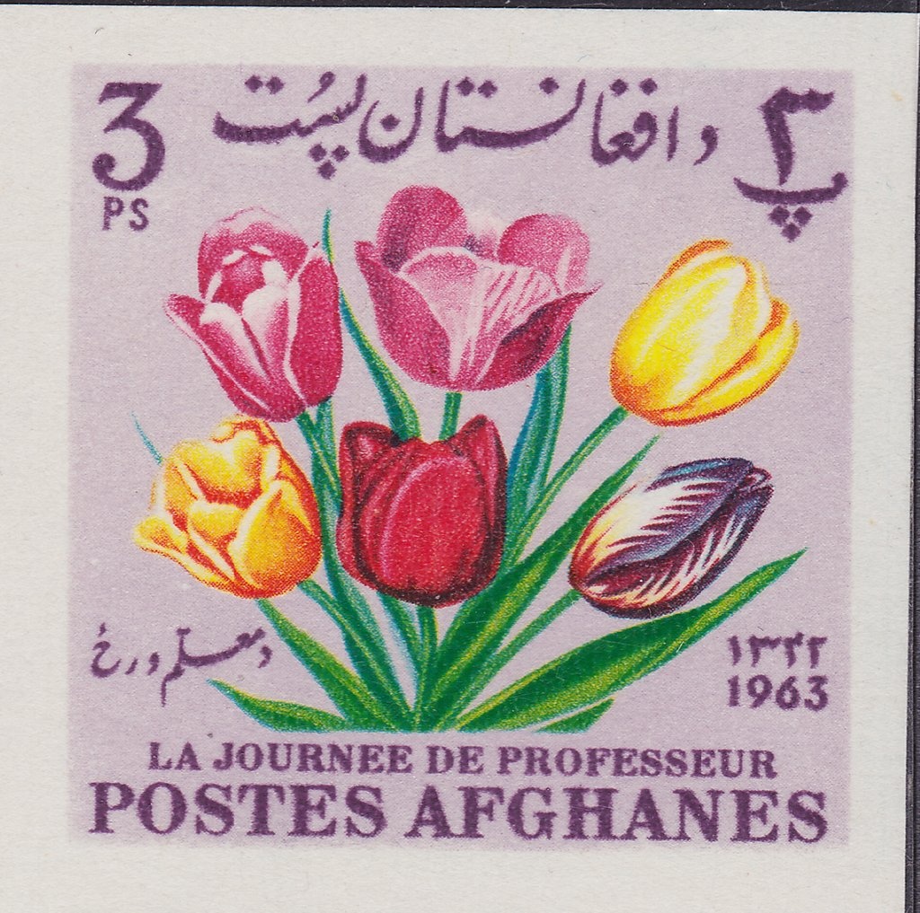 Jose Cruz Herrera, Spanish