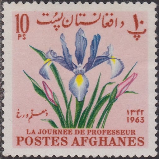 Millenium - The Women Icons of the 20th Century