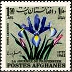 Artur Muharremi, Albania