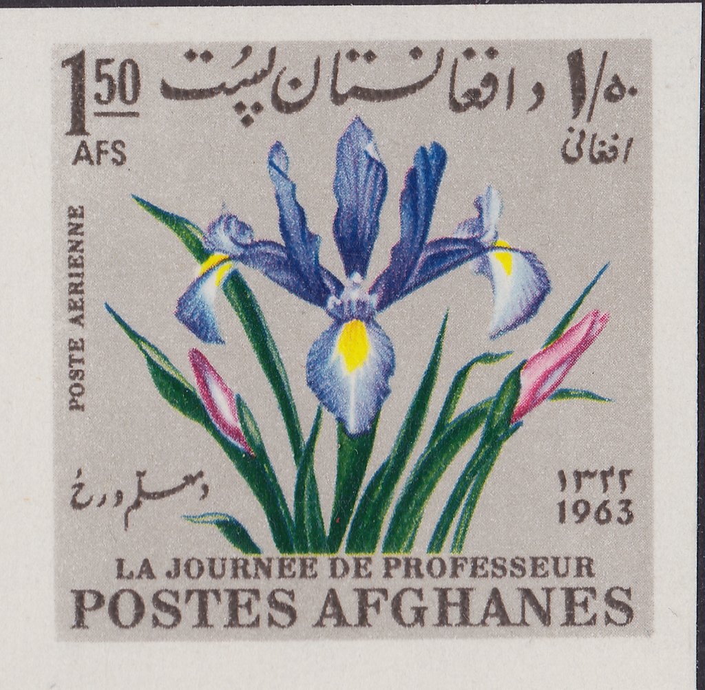 UN Headquarters, NY and Flags of UN and Afghanistan