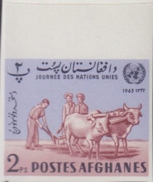 Man with Indian clubs