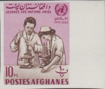 Gigino Falconi, Italia