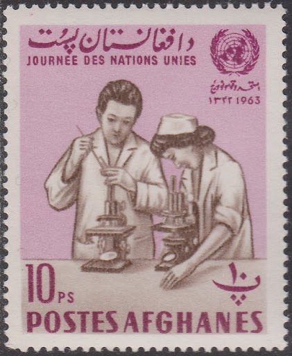 Woman in National Costume