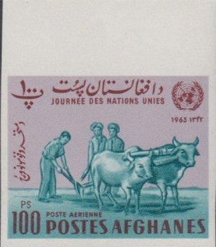 Flags of the U.N. and Afghanistan