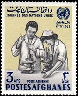 Buddha's head, Gandhara