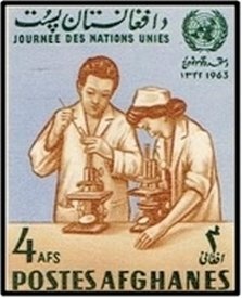 Rodi - Symbolical of Flight