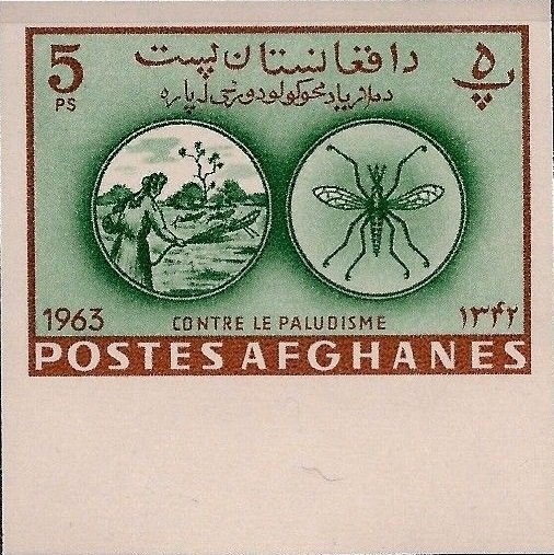 20 years of Italian occupation