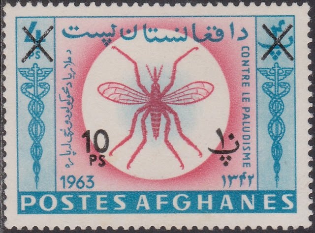 Mute Swan (Cygnus olor)