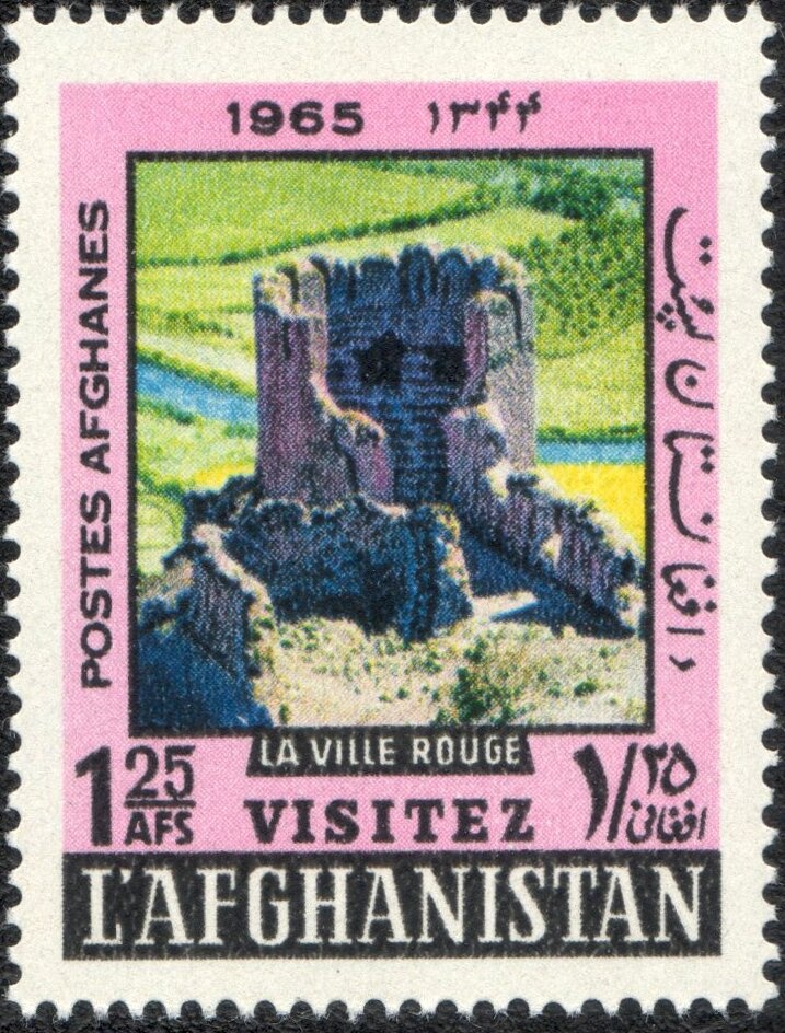 Trumpet Triton (Charonia tritonis)