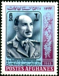 Bobtail (Canis lupus familiaris)