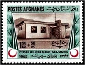 Karakul Sheep (Ovis aries)