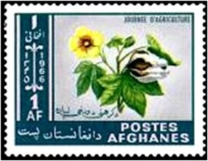 Views- Crusader's tomb