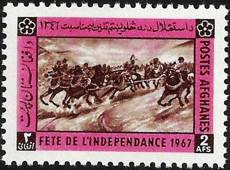 Fragrant Water-lily (Nymphaea odorata)