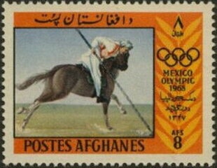 Bloodhound (Canis lupus familiaris)