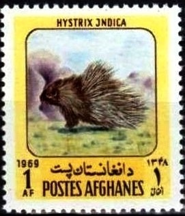 William Bligh's Discovery of Aitutaki