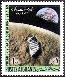 Clown Loach (Chromobotia macracanthus)