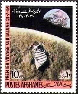 Magyar Vizsla (Canis lupus familiaris)