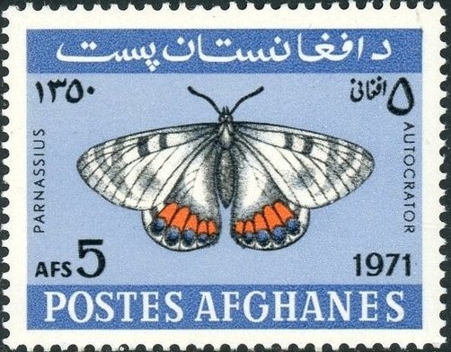 Georgia Coast & Piedmont Railroad Steam Locomotive