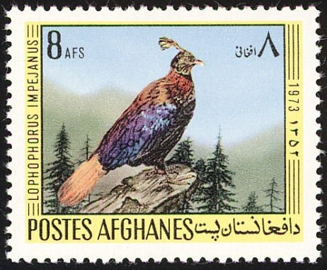 Cut Square 26 mm, year 1298