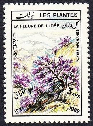 Cut Square 26 mm, year 1298