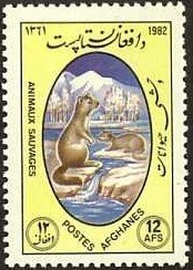 Horse (Equus ferus caballus), Miohippus (Oligocene)