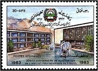 Buzkashi Game, Horse (Equus ferus caballus)