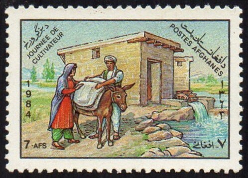 Wild Goat (Capra aegagrus)