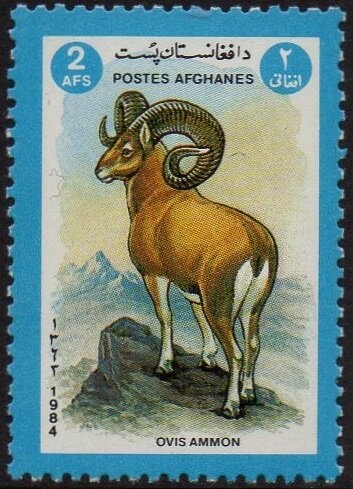 Tiger's Head, year 1294