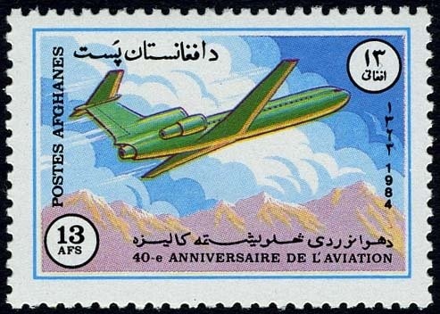 Afghan Hound (Canis lupus familiaris)