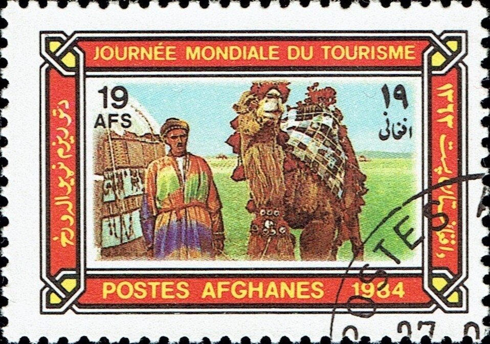 Horse (Equus ferus caballus), Epihippus (Eocene)