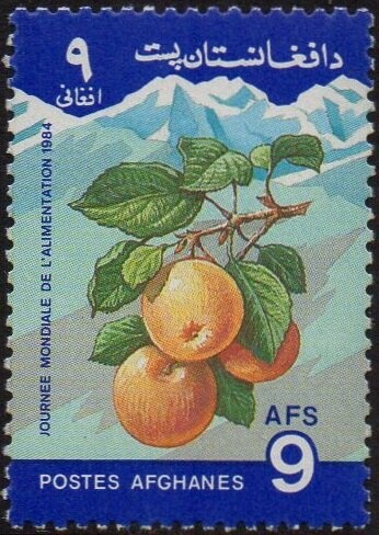 Pro sinistrati di guerra