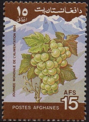 16th anniversary of the U.N.