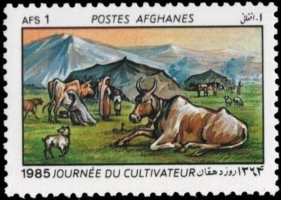 Ruins at Qalai Bust - Brown