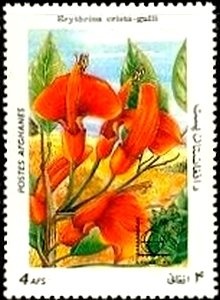 President Celâl Bayar - Imperforate