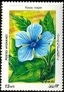 Nurse Holding Patient