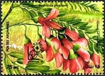 Emperor Trajan Kiosk and Temple of Isis, Philae Island