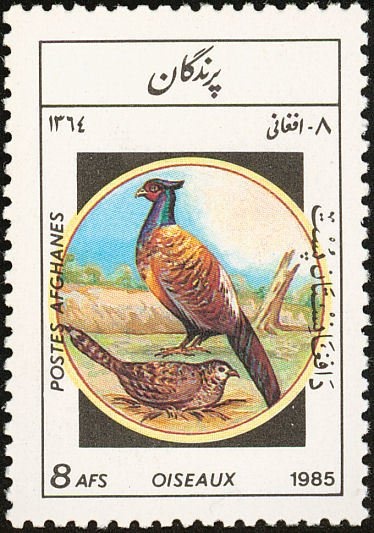 Daedalus with Space Capsule