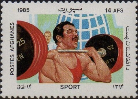 Plowing Fields, Domestic Cattle (Bos taurus)