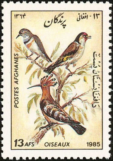 Views- Christian knight